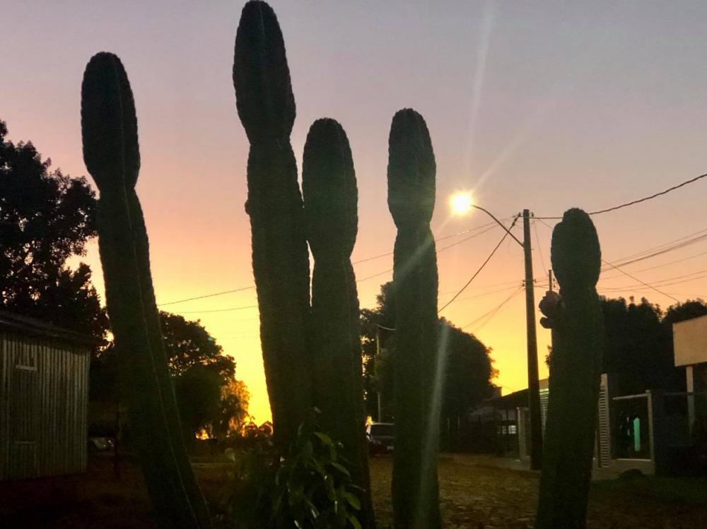 Na virada do mês, o tempo firme vai predominar, com temperaturas próximas de 30°C na maioria das regiões (Foto: Diones Roberto Becker)