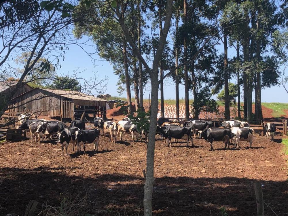 Desempenho da economia brasileira no segundo trimestre de 2021 ficou praticamente estável com variação negativa de 0,1% (Foto: Diones Roberto Becker)