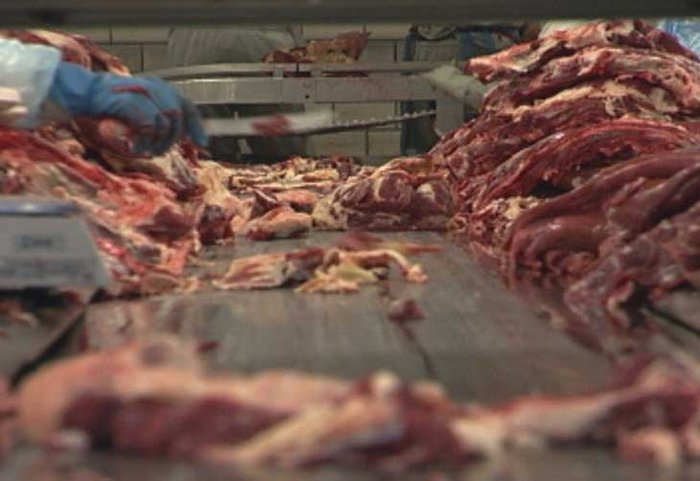Três frigoríficos instalados no Rio Grande do Sul têm permissão de exportar para a China e agora buscam novo destino ao produto (Foto: Reprodução)