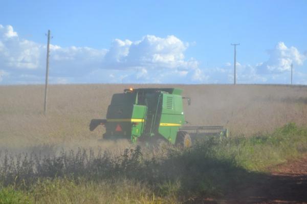 No Rio Grande do Sul, 97% dos 5,8 milhões de hectares cultivados com soja já foram ceifados (Foto: Diones Roberto Becker)