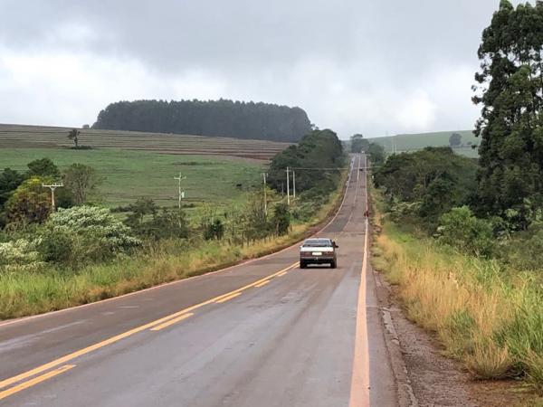 Trecho da ERS 317 tem buracos na pista, falta acostamento e vegetação avança sobre o asfalto (Foto: Diones Roberto Becker)