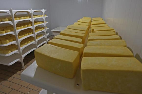 Laticínios são um dos locais a serem fiscalizados pelos novos auditores. (Foto: Divulgação/Charles Guerra/Agencia RBS)