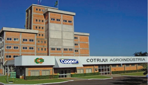 Equipe de intervenção da cooperativa afirmou que agroindústria será arrendada (Foto: Divulgação/Cotrijuí)