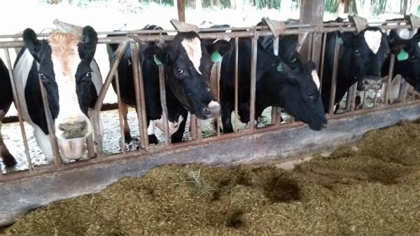 Legislação também abrange a organização da propriedade rural, suas instalações e equipamentos (Foto: Reprodução/Facebook)