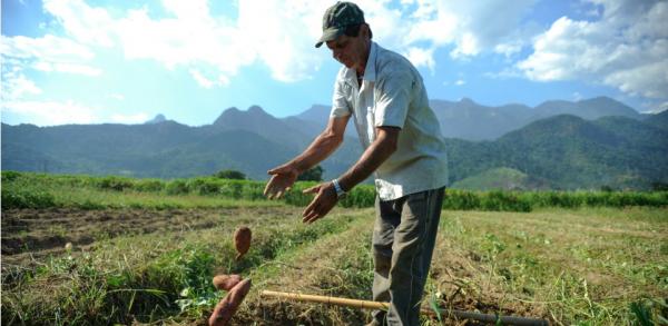 Obrigatório, o registro permite que o produtor obtenha crédito agrícola. (Foto: Divulgação/Agência Brasil)