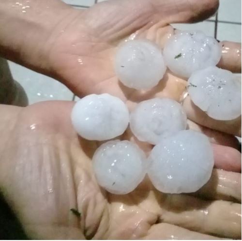 tamanho das pedras de gelo que caíram na localidade de Vista Nova. (Foto: Marilene Rodrigues)