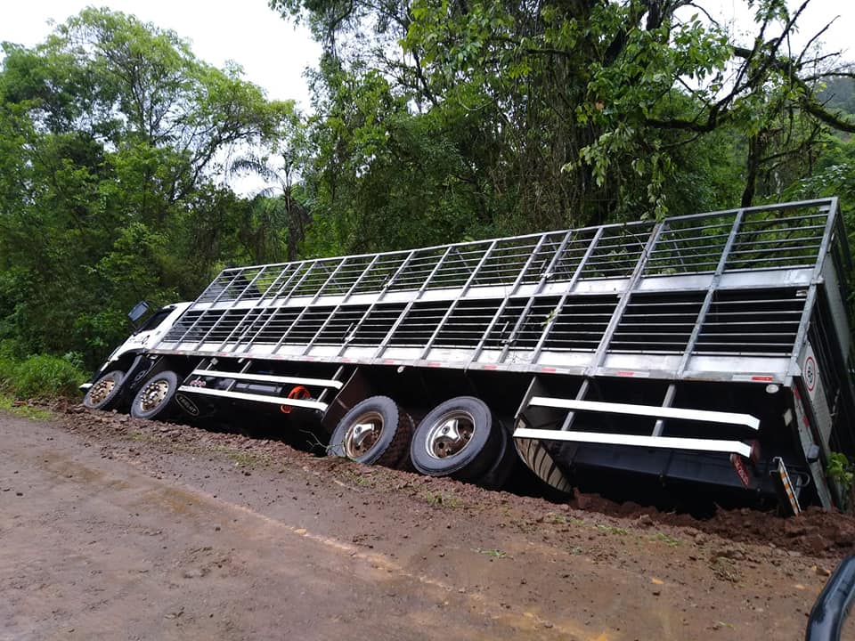 Foto: (Divulgação) BM