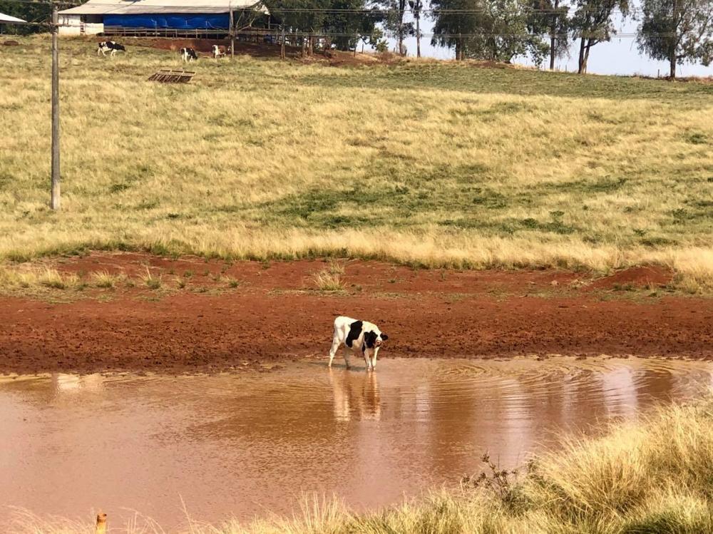 Rio Grande do Sul, entre julho e agosto, se manteve com 100% de seu território com seca (Foto: Diones Roberto Becker)