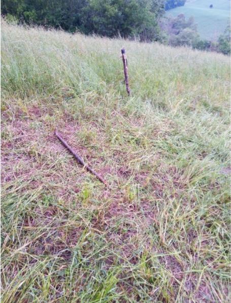 Local onde estava a vaca que morreu após ser atingida pela descarga elétrica. (Foto: Reprodução/Arquivo Pessoal)