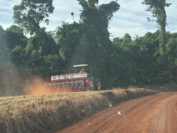Plano Safra prosseguirá até 30 de junho de 2020 (Foto: Diones Roberto Becker)
