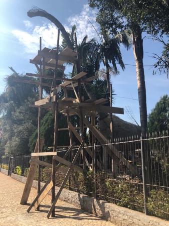Parque temático terá dez esculturas de dinossauros de variados tamanhos, som e luzes (Foto: Diones Roberto Becker)