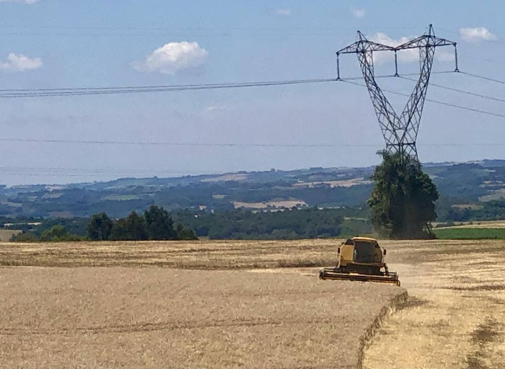 Predomínio de tempo firme e ensolarado está contribuindo para a colheita do trigo na Região Celeiro (Foto: Diones Roberto Becker)