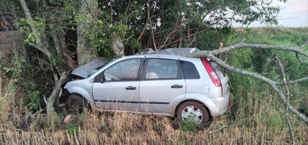 Em virtude da colisão, um galho caiu sobre o teto do automóvel (Foto: Reprodução | Observador Regional)