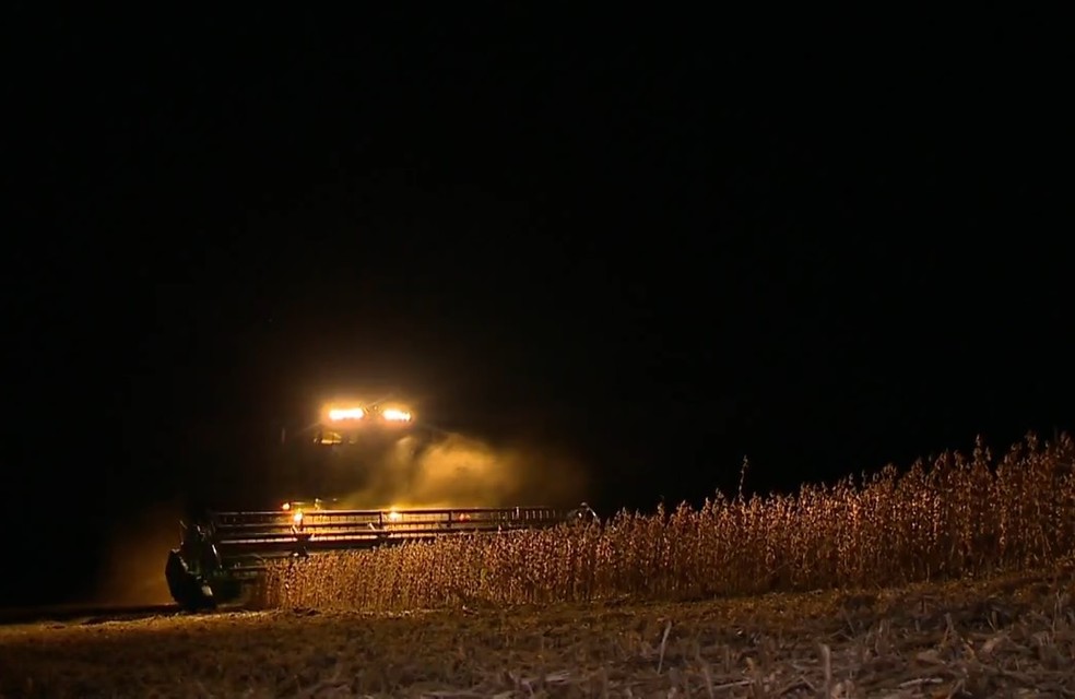 Soja puxa exportações e representa quase 60% do arrecadado no 3º trimestre do ano (Foto: Reprodução/RBS TV)