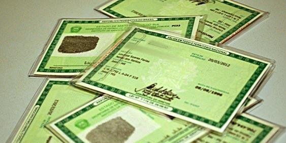 Documentação pode ser requisitada no prazo normal (Foto: Divulgação/IGP)