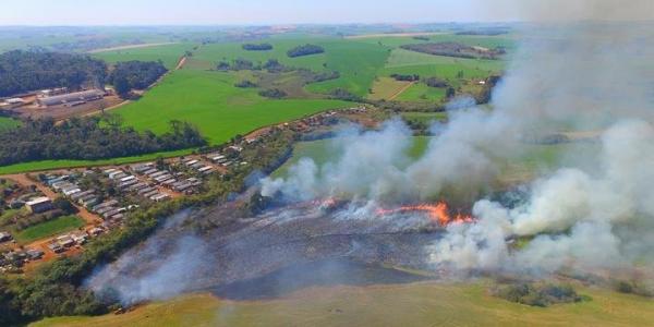 Incêndio foi registrado em lavoura no Braga (Foto: Reprodução/Observador Regional)