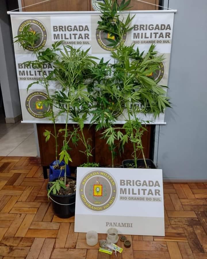 Foto: Brigada Militar/ Divulgação 