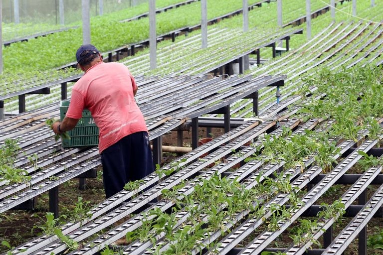 Projeto moderniza as regras para a concessão de crédito rural - (Foto: Gilson Abreu/Agência de Notícias do Paraná)