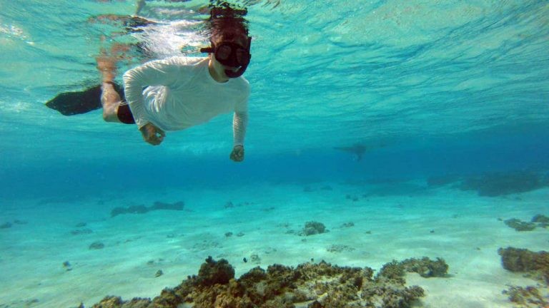 Leilão da ANP prevê exploração de áreas nas imediações de santuários ecológicos - (Foto: Divulgação/Marinha do Brasil)