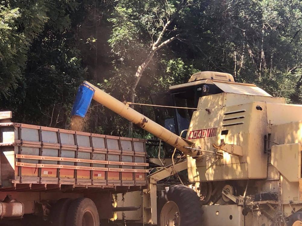 IPEA estima safra recorde de soja no próximo ano, com aumento de 3,4% (Foto: Diones Roberto Becker)