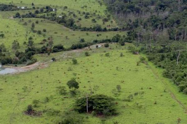O produtor rural que entregar a DITR depois do prazo pagará multa de 1% ao mês sobre o imposto devido ou R$ 50, prevalecendo o maior valor - Foto:MMA/Arquivo