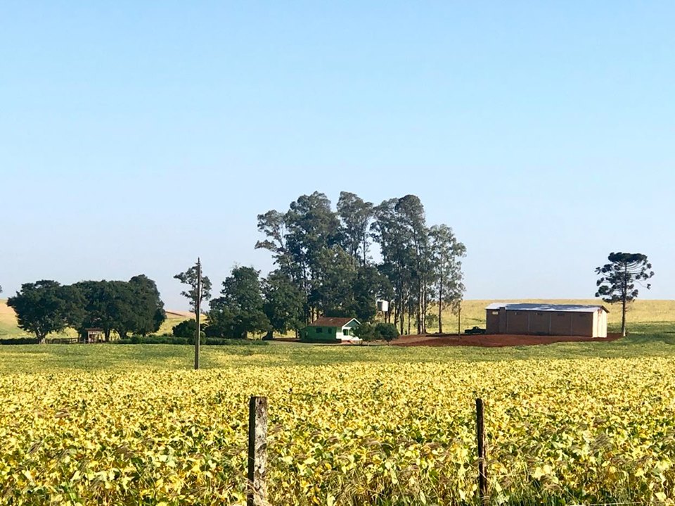 Através da ferramenta, o produtor rural declarará de que forma cumprirá as normas ambientais (Foto: Diones Roberto Becker)