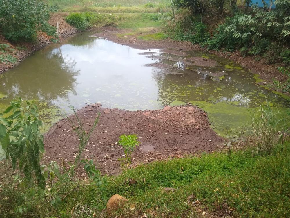 Lagoas estão abaixo do nível normal devido a seca (Foto:divulgação)