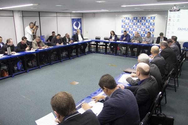 Assembleia promovida pela Federação das Associações dos Municípios do Rio Grande do Sul (FAMURS) em Porto Alegre (Foto: Divulgação/Amuceleiro) 