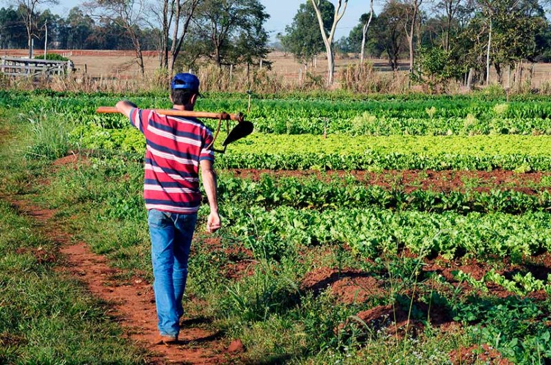 Valor destinado ao Ministério da Agricultura vai apoiar pequenos e médios produtores rurais - Jorge Etecheber/SESC-SP