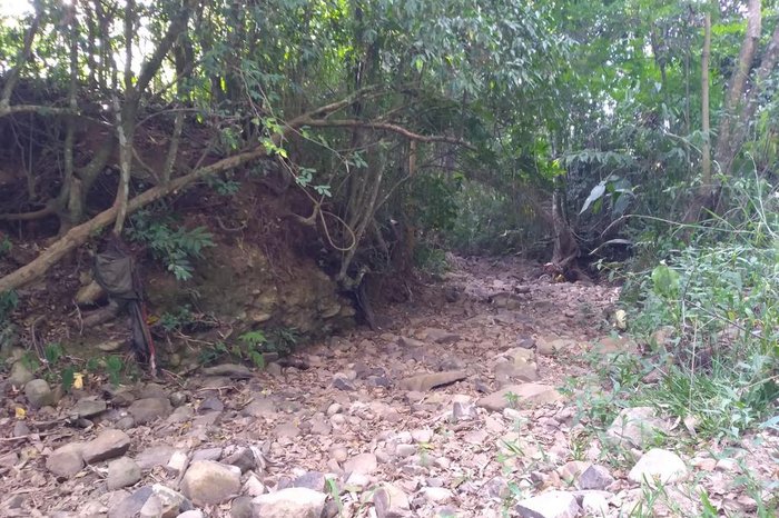 Falta de água seca pequenos córregos (Foto:Lisandra Merguen / Divulgação)