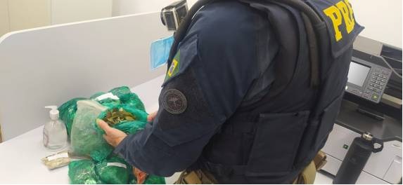 Foram apreendidos mais de 1 kg de coca (Foto:Divulgação)