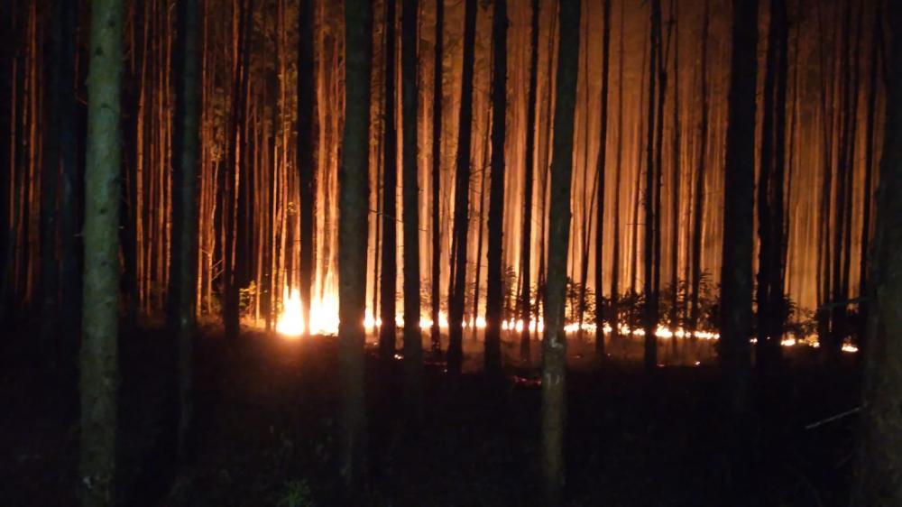 Foto: Corpo de Bombeiros Voluntários de Tenente Portela 