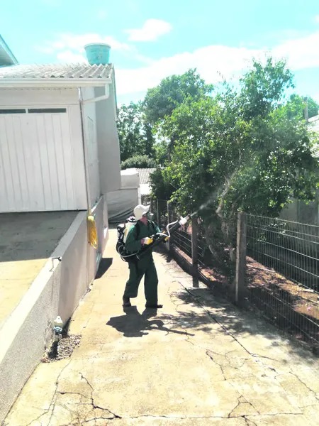 É recomendado o uso de repelente neste momento (Foto:Divulgação)