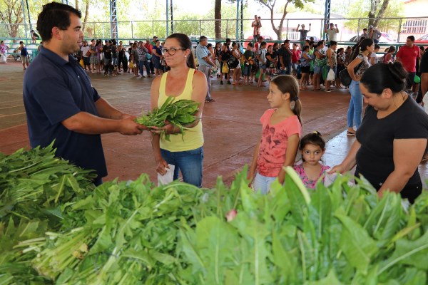As cestas com produtos são entregues, uma vez por mês, para 145 famílias de baixa renda e para a APAE (Foto: Divulgação/Emater-Ascar)