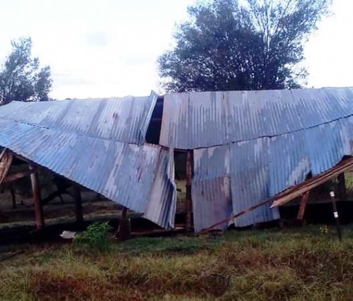 Foto: Roseli Dal Berto, especial para o Guia Crissiumal