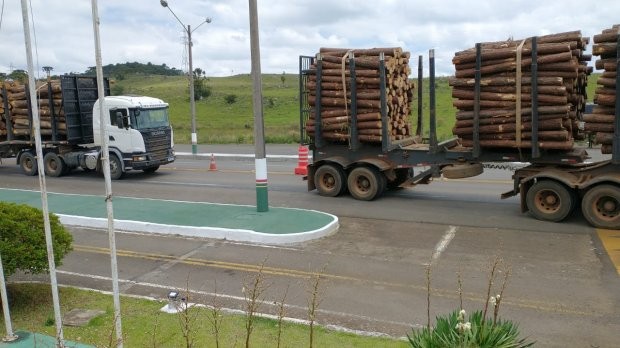 Fotos: Divulgação SEF/SC