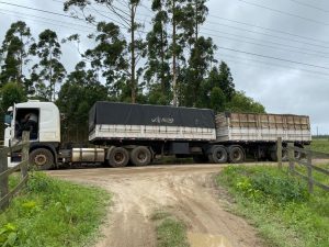 No veículo havia uma carga de soja oriunda de Dourados (MT), cujo destino seria o porto de Paranaguá - Foto: OCP News Criciúma