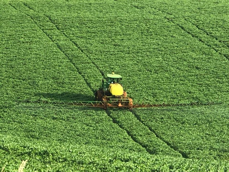 PL centraliza no MAPA, as atribuições de fiscalização e análise desses produtos para uso agropecuário (Foto: Diones Roberto Becker)