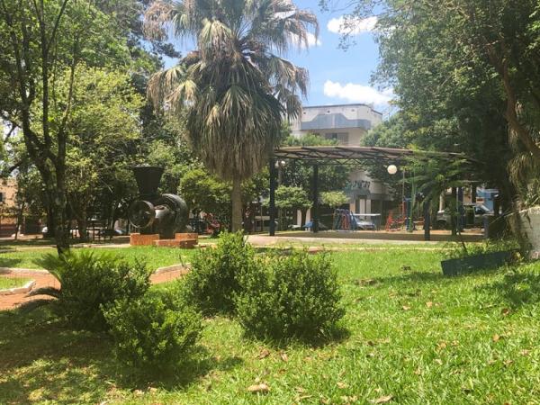 Ainda em plenário, o pedetista também reivindicou trabalhos de limpeza na Praça Municipal João Goulart (Foto: Diones Roberto Becker)