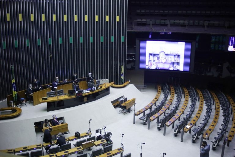 Deputada Leandre, autora do projeto - (Foto: Paulo Sérgio/Câmara dos Deputados)