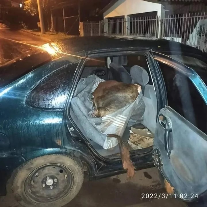 (Foto: Reprodução/Observador Regional)