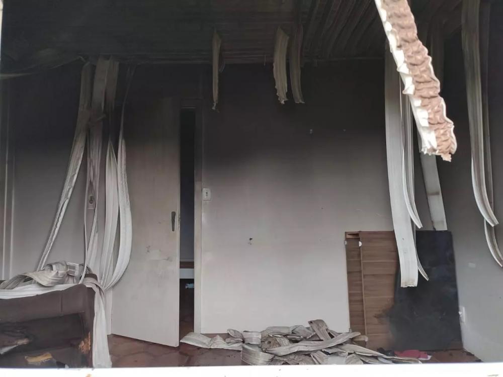 (Foto: Divulgação ND Mais - Notícias de SC)