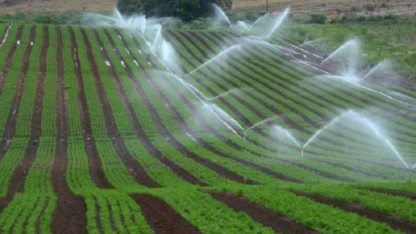 Programa vai contemplar agricultores de Chiapetta, Santo Augusto, São Martinho e Três Passos (Foto: Fernando Dias/SEAPDR)