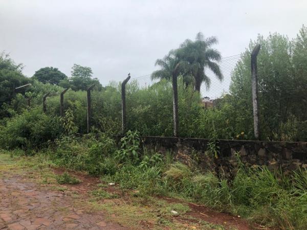 Vereador do PDT pediu que a Administração Municipal notifique os proprietários de terrenos em situação de abandono (Foto: Diones Roberto Becker)