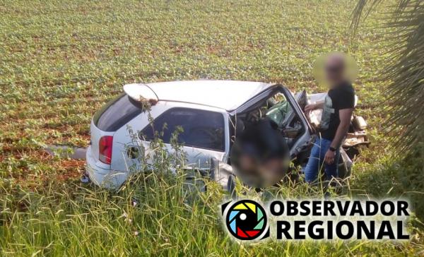 Carro desgovernado colidiu contra um butiazeiro às margens da rodovia - Foto: Observador Regional