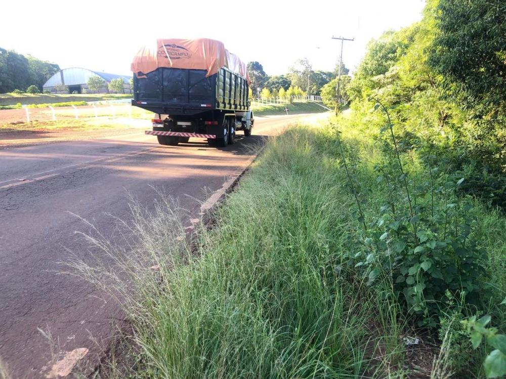 Itamar Sartori requereu a limpeza das margens da rodovia entre Vila Diniz e o bairro Faxinal (Foto: Diones Roberto Becker)