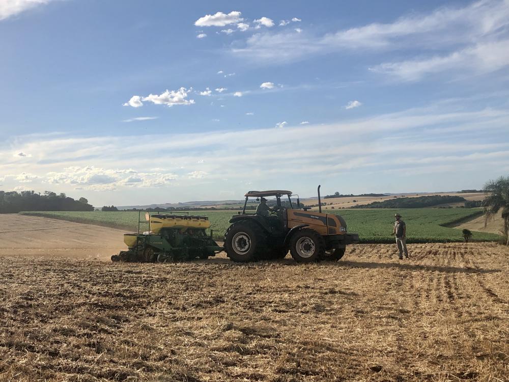 Estiagem prejudicou os cultivos implantados na primavera e verão no RS, com redução da produção e da produtividade (Foto: Diones Roberto Becker)