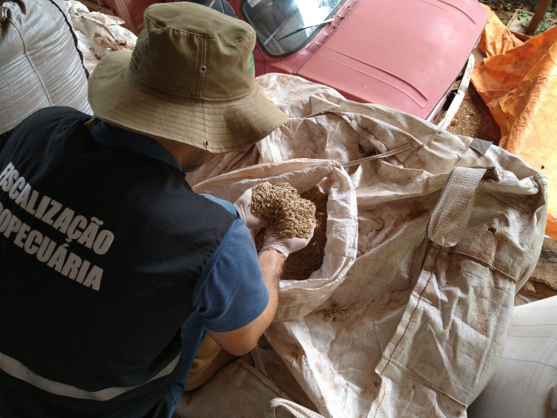 Ações foram realizadas de 31 de março a 5 de abril, com o objetivo de evitar a pirataria de sementes (Foto: Divulgação | SEAPDR)