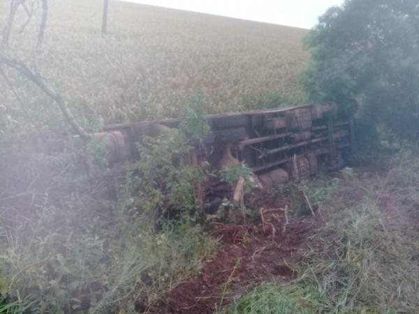 Motorista não se feriu com gravidade - Foto: TP News