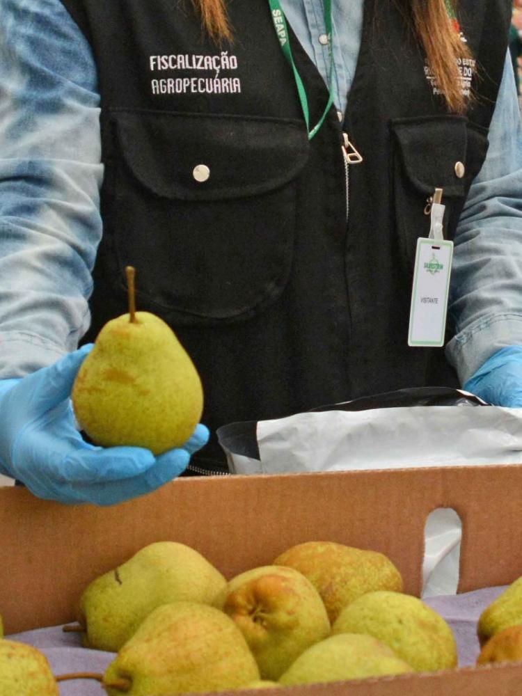 Objetivo é verificar a qualidade dos produtos vegetais referentes à presença de resíduos de agrotóxicos (Foto: Divulgação | SEAPDR)